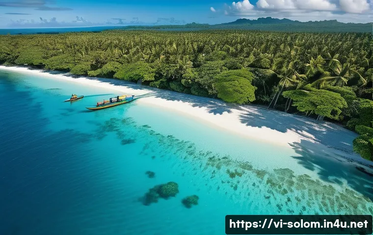 솔로몬 제도 여행 경비 - A breathtaking aerial view of a pristine, untouched beach in the Solomon Islands, with vibrant turqu...