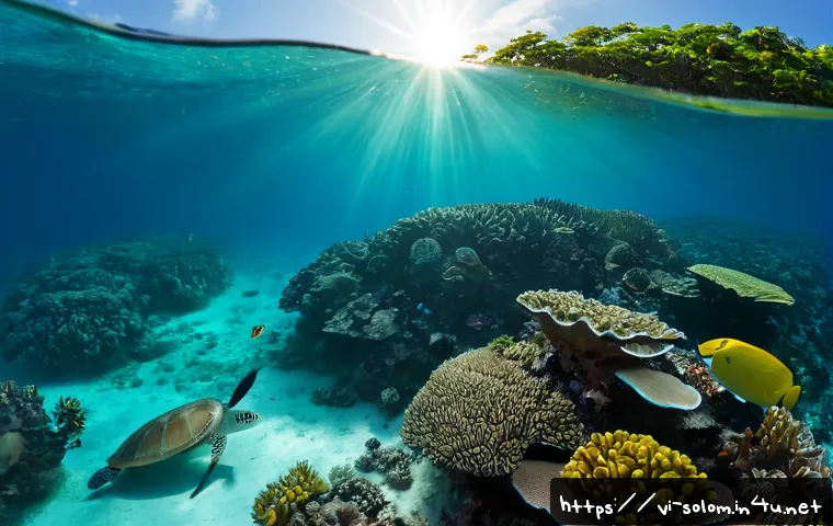 솔로몬 제도 산호초 보호 - Photorealistic wide underwater scene in the Solomon Islands, a thriving coral reef with branching co...